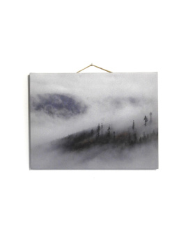 Fotografia na płótnie las we mgle